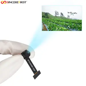 Supporto prezzo economico Raspberry Pi ESP32 con modulo fotocamera sensore Cmos Ov2640 2mp per agricoltura intelligente