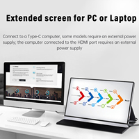 OEM/ODM 15.8 Pouces Portable Moniteur IPS 100% sRGB 15.6 Pouces LCD Ordinateur Affichage HD-MI USB type-C Jeux à L'écran