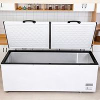 Congélateur coffre en acier inoxydable, congélateur profond 300L, ouverture par le haut, congélateur commercial pour hôtel et restaurant