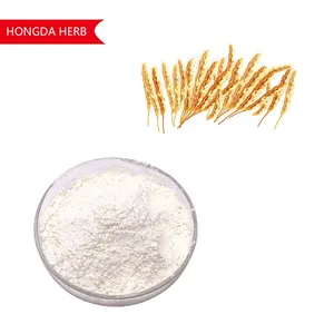 Prezzo di fabbrica acido ferulico in polvere estratto di crusca di riso in polvere 99% acido ferulico
