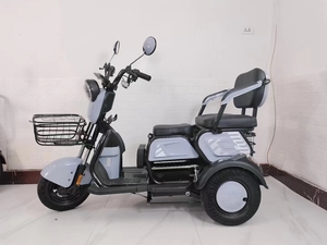 <span class=keywords><strong>Triciclo</strong></span> Eléctrico de 600W 800W para Adultos, Motocicleta de 3 Ruedas para Pasajeros o Reparto de Comida - Product Image 5