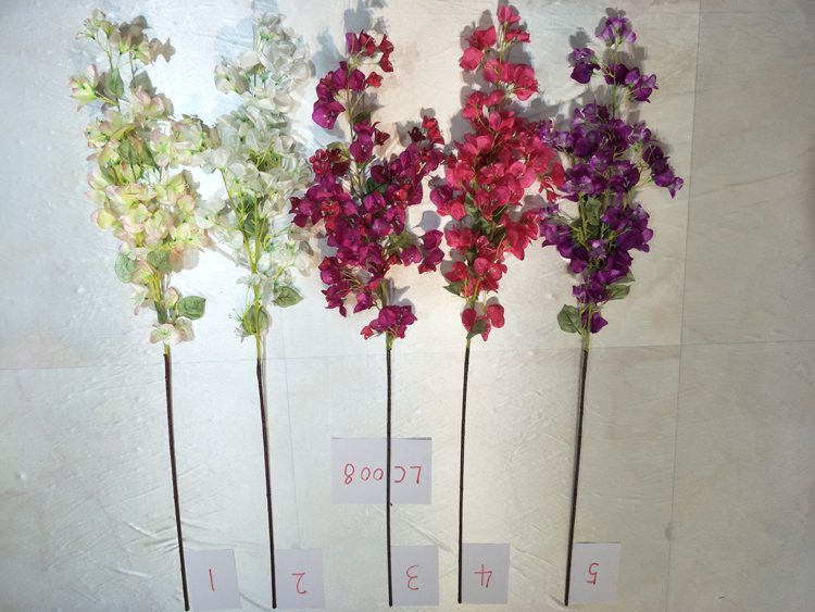 mixed colour bouqainvillea