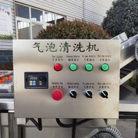 Industriële fruitwasser van roestvrij staal 304, bubbelfruitwasmachine voor het reinigen van zeevruchten, lotuswortels en groenten