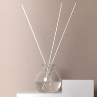 Bouteilles diffuseurs en verre ovales personnalisées en usine, de 50 ml à 300 ml, flacon d'aromathérapie vide avec bouchon en bois, couleur et logo personnalisables disponibles