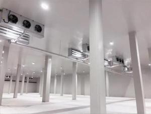 Refrigeradores y Congeladores de Mediana a Gran Escala para Almacenamiento en Frío de Frutas y Verduras - Product Image 5