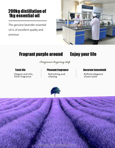 Aceite Esencial de Lavanda 100% Puro al por Mayor, Humectante <span class=keywords><strong>para</strong></span> el Cuerpo, Aromaterapia, Masaje, <span class=keywords><strong>Difusor</strong></span> <span class=keywords><strong>para</strong></span> Todo Tipo de Piel, Precio al por Mayor - Product Image 4