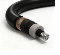 Câble Monoconducteur Industriel 12/20 (24) KV NA2XS (F) 2Y en Aluminium avec Isolation XLPE et Gaine MDPE pour Distribution Électrique