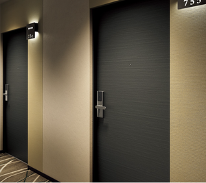 Hotelkamerdeuren 20-90 Minuten Vuurvaste Geluiddichte Ul Beursgenoteerde Houten Hotelkamer Stalen Enkele Deur Met Frame Voor Intern Gebruik - Product Image 3