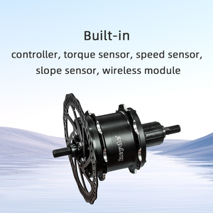 <span class=keywords><strong>Controlador</strong></span> de motor de freno de disco de bicicleta eléctrica dentro del motor de cubo trasero 250W 24V/33V/36V - Product Image 3