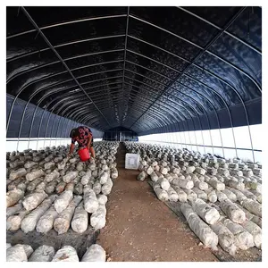 Invernadero comercial de setas/sala de cultivo de setas