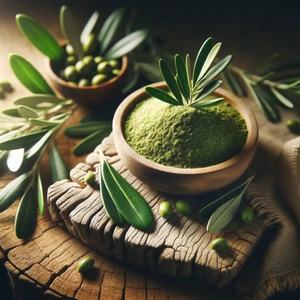 Fábrica GMP QY Herb Wholesales, Extracto de Hoja de Olivo en Polvo de Alta Calidad a Buen Precio - Product Image 4