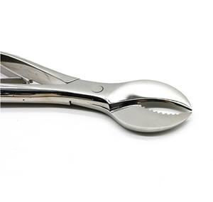 2 Stuks Roestvrijstalen Tandtang Gips Kniptangen Cutter Tandarts Lab Apparatuur, Tandheelkundige Gips Schaar, Gips Snijtang - Product Image 4