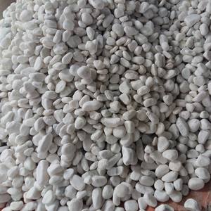 Piedra de guijarro de Río Blanco, calidad Superior - Product Image 2