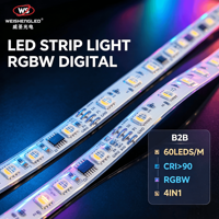 Bande LED RGBW CCT adressable SPI, programmable, à pixels, 5050 24V, en cuivre, pour éclairage architectural intelligent