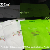 Imprimante de pochettes en plastique Giftec UV à passage unique, encre écologique CMYKW couleur pleine pour pochettes à fermeture éclair, sacs non tissés