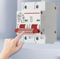 Productos seleccionados, disyuntores en miniatura, interruptor de aire en miniatura, 1P, 2P, 3P, 4P, 6KA, 100A, tipo RCCB, MCB, bajo voltaje