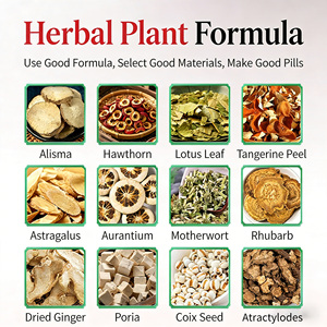 热销 Luckyonly 草药减肥贴 8 片装 减肥燃脂棒 草药轻量健康贴 - Product Image 5