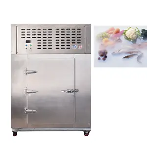 Customized Size Cold Storage Room Refrigeration For fish chicken meat Storage Blast Freezer