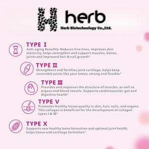 เครื่องดื่ม NAD+ สูตรเฉพาะสำหรับ OEM แบรนด์ส่วนตัว ช่วยชะลอวัย เพิ่มพลังงาน และเสริมสร้างสุขภาพเซลล์ - Product Image 2