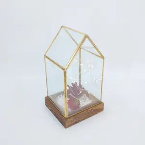 Hot Selling Glas En Hout Vaas Planter Terrarium Tafel Hoge Kwaliteit Geometrische Glazen Terrarium Voor Huisdecoratie