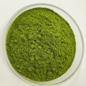Polvere di Germogli di Broccoli Pura Naturale di Grado Alimentare, Estratto Vegetale Idrosolubile in Confezione Fusto/Lattina/Bottiglia - Product Image 3