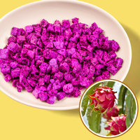 Natuurlijke FD Dragon Fruit Dobbelstenen Zoet Suikervrij Bulkverpakking 1kg Snack