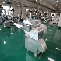 Industriële Hoge Efficiëntie Centrifugaal Snijmachine 200-440V 2.2Kw voor het Snijden van Aardappel, Wortel, Ui, Fruit en Groenten in Blokjes