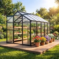 Serre de jardin 6x8 pieds en gros, kit de serre autoportante avec structure en aluminium pour jardin extérieur, patio, cour arrière