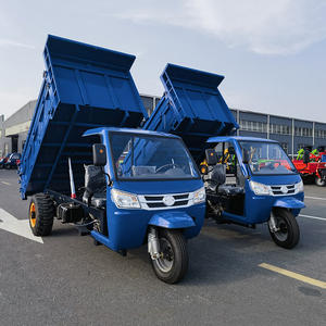 Tricycle Cargo Trois Roues Ouvert, Scooter Chargeur Diesel avec Refroidissement par Eau, Véhicule Essence et Diesel - Product Image 2