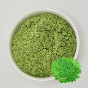 Bubuk daun Moringa kualitas makanan organik, 99% air asli alami murni diekstrak dikemas dalam Drum - Product Image 1
