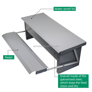 Máy Cho Gà Ăn Tự Động, Máy Cho Gà Ăn Ngoài Trời Trang Trại Gia Cầm Gà - Product Image 4