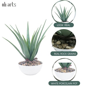 Faux mini plantas suculentas artificiales en maceta cactus falso aloe <span class=keywords><strong>vera</strong></span> Crassulaceae suculentas para jardín boda decoración del hogar Mesa - Product Image 6