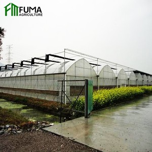 FM Blueberry Grow <span class=keywords><strong>Kit</strong></span> de serre commerciale pour l'agriculture <span class=keywords><strong>en</strong></span> tunnel de haute qualité <span class=keywords><strong>Abri</strong></span> de pluie à travée multiple - Product Image 5