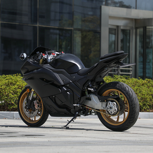 Motocicleta Eléctrica de Carreras Rusia <span class=keywords><strong>Avito</strong></span> DK400 5000W con Motor Lateral de Brazo Oscilante Único, Velocidad de hasta 130 km/h - Product Image 5