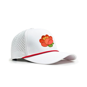 Venta al por mayor logotipo personalizado bordado 5 Panel papá sombrero de poliéster de alta calidad Gorras deporte láser corte agujero hombres mujeres gorra de béisbol - Product Image 2