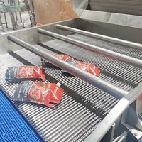 Fabriksprijs tomatenpureemachine, tomatenjam- en puree verwerkingslijn, ketchup productielijn