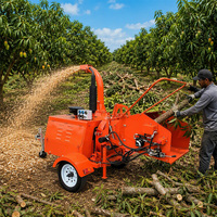 Broyeur à bois diesel Nexagrot 40HP avec système d'alimentation hydraulique, capacité de 200 mm (8 pouces), broyeur-déchiqueteur d'arbres industriel