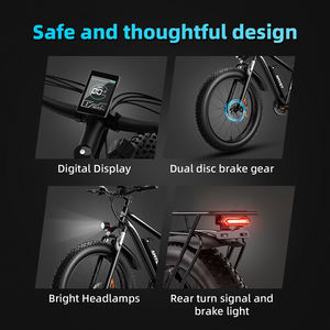 48V Tweewielige elektrische fiets met vering en 20AH lithium batterij met lange actieradius, fatbike - Product Image 4