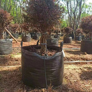 100 gallon planting tree bags grow planting grow bags wholesale online plants fabric pots