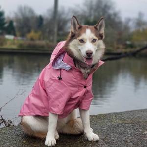 เสื้อกันฝนสุนัขแบบย้อนยุค4สีเสื้อกันฝนแบบหนา - Product Image 1