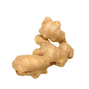 Fresh Ginger Export High Quality Ginger Supplier Chinese Yellow Ginger from Shandong