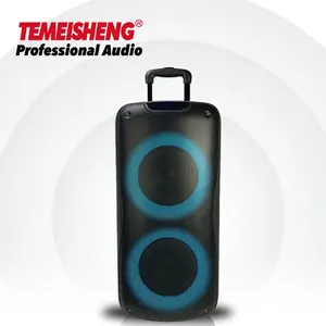2024 Temeisheng alto-falante de torre de som DJ mais vendido alto-falante duplo de karaokê com luz circular de 8 polegadas