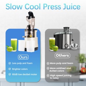 Usine chinoise Machines à mastiquer les fruits et les légumes Nettoyage facile auto pour jus Rendement élevé Presse-fruits à froid sans BPA