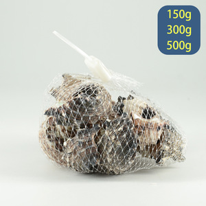 Artesanías <span class=keywords><strong>de</strong></span> Conchas DIY en Bolsas <span class=keywords><strong>de</strong></span> <span class=keywords><strong>Red</strong></span>, un Éxito <span class=keywords><strong>de</strong></span> Ventas - Product Image 2