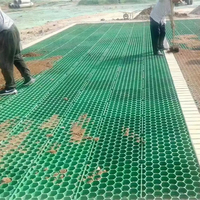 Grille de drainage en HDPE haute résistance 48 mm pour gazon, allée perméable, stabilisateur de gravier et de sol, surface alvéolée