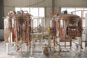 Micro birreria 500L 1000L acciaio inossidabile industriale ristorante birra birra birra artigianale commerciale attrezzature birreria - Product Image 6