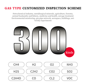 Détecteur de gaz portable 4-en-1 DTS-B004 EX/CO/H2S/O2 certifié CE, haute précision, alarme 3-en-1 pour produits chimiques, charbon, pétrole, navires - Product Image 2