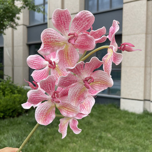 Orchidées Phalaenopsis <span class=keywords><strong>Vanda</strong></span>, 9 têtes, fleurs artificielles imprimées en 3D pour la décoration de mariage, de la maison et la photographie - Product Image 4