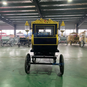 Meilleure personnalisation : Chariot de mariage royal électrique avec pneus en caoutchouc massif et garantie de 2 ans pour les excursions - Product Image 1