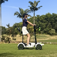 Nouveau Chariot de Golf Électrique Pliable Intelligent 2026 avec Batterie au Lithium, Scooter de Golf à Quatre Roues avec Siège